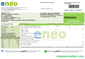 Cameroon ENEO electricity business utility bill template in Word